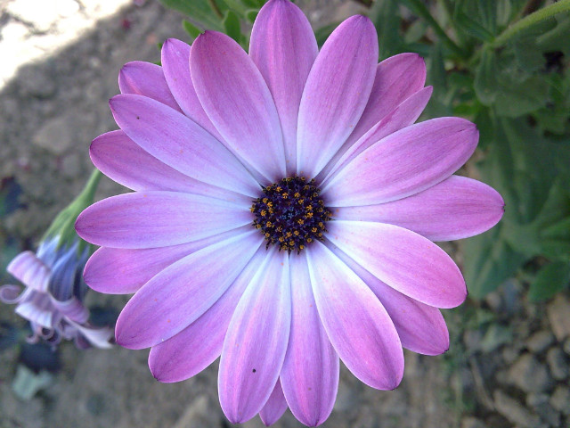 Wspomnienia