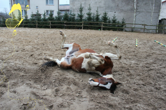 Tarzanko^^