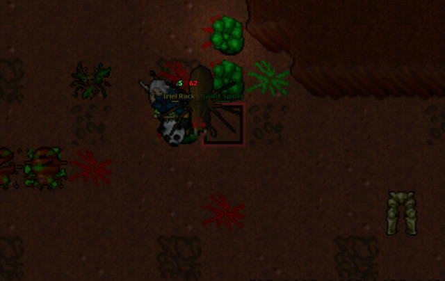 Tibia 7.6