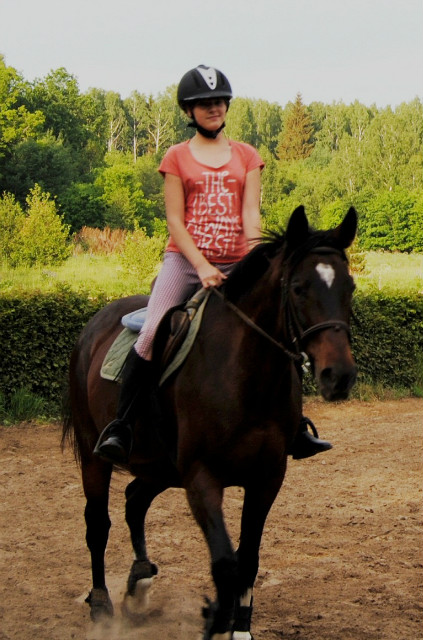 Celna . < 333