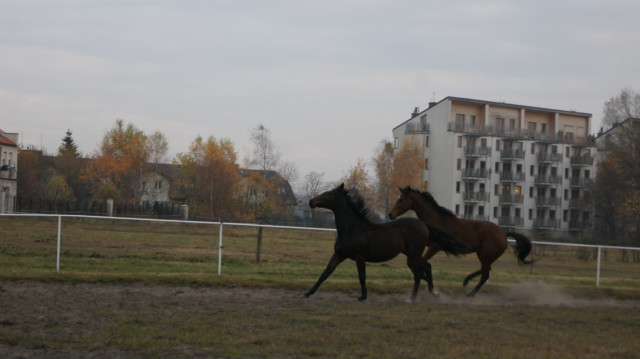 wyglda to tak, jakby.....