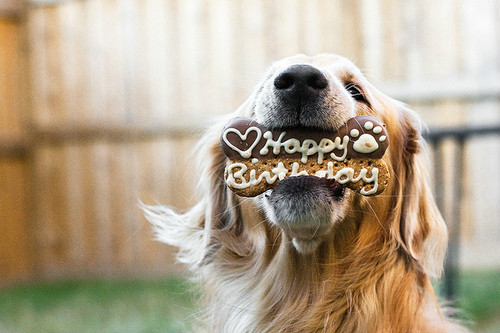 najlepszego kochanie:*!
