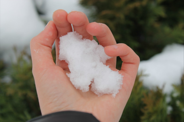 let it snow