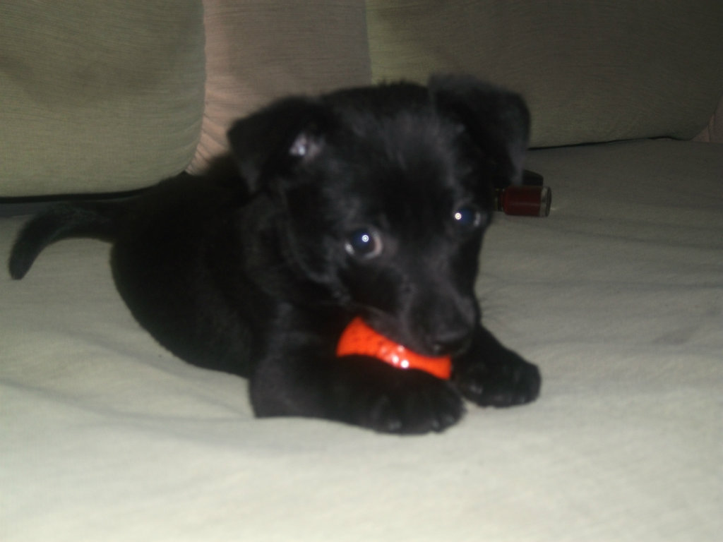 moj Pikula:*:*