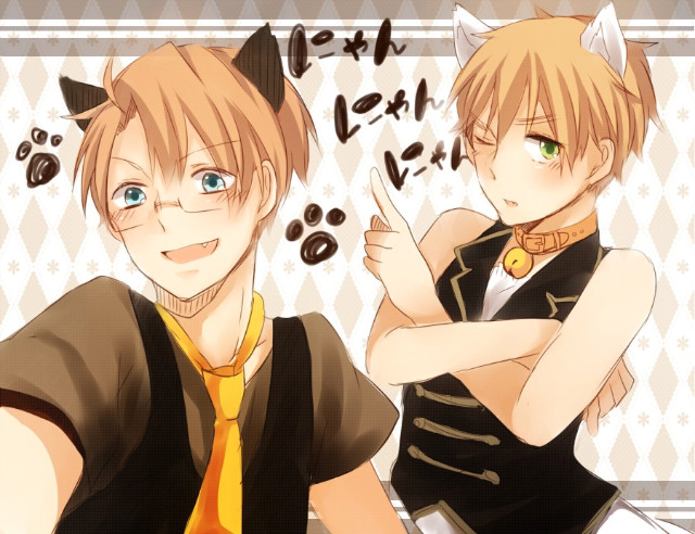 Ah, It's a Wonderful Cat Life