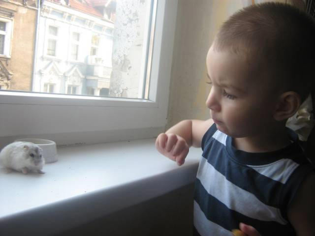 Sodziak.:*