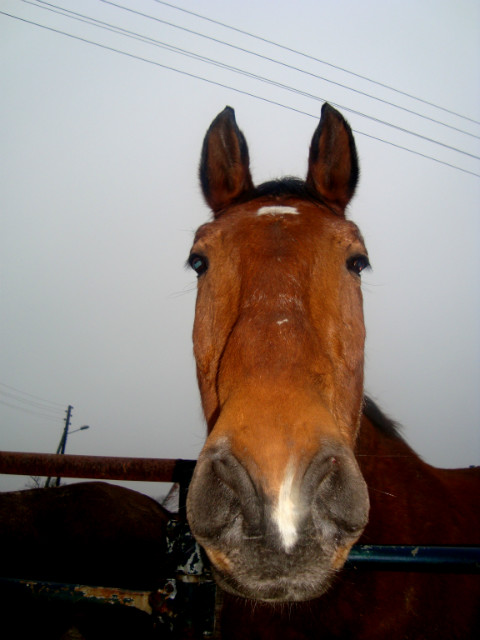 Wektor . :*