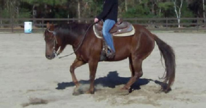 2004r.