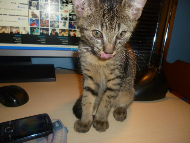 Kopot ! ;**
