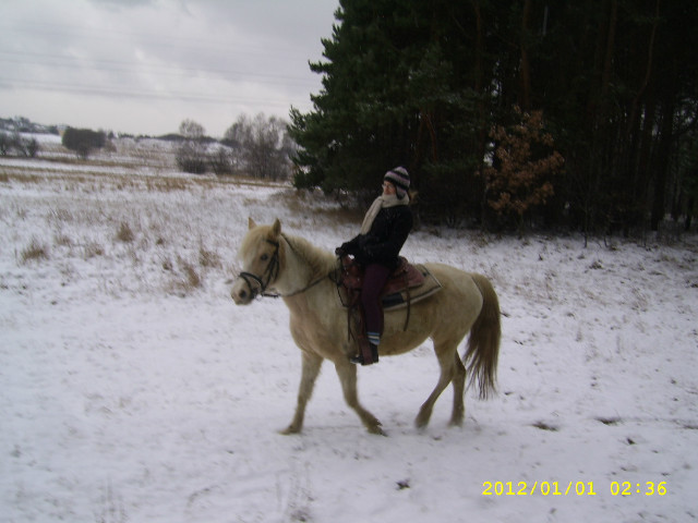 Teren :)