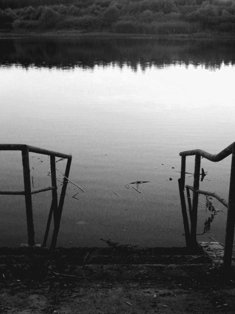 Wallace Stevens
