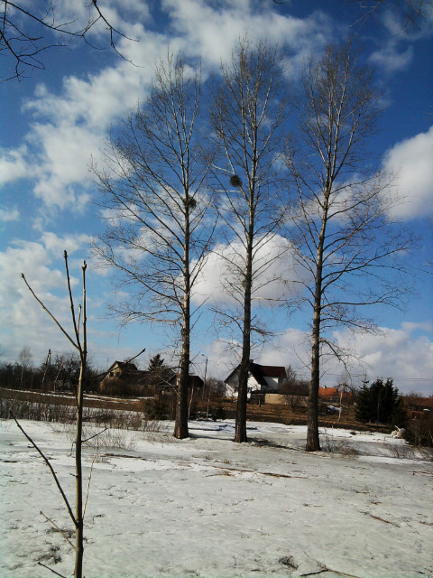 MARZEC - WARMIA 2011