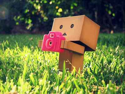 Danbo 