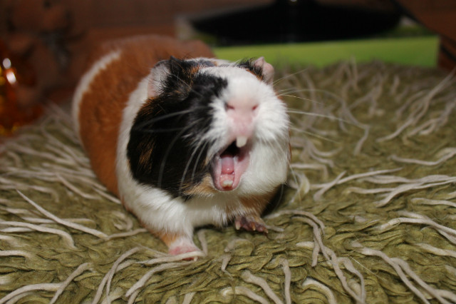 :D