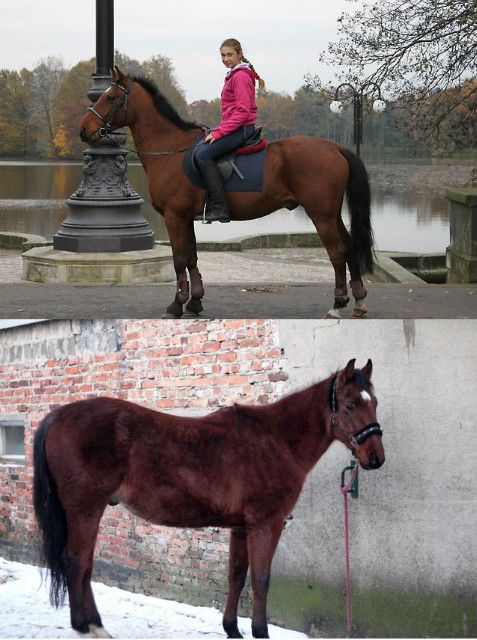 Osiek :*