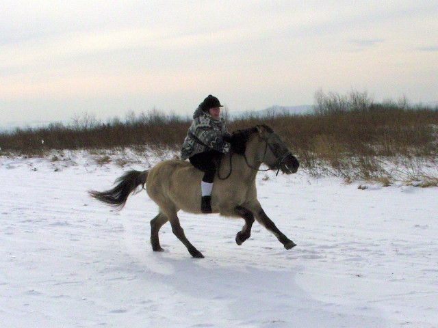 Szybki galop 2011.