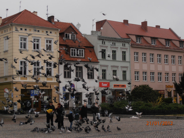 by wolny jak ptak...