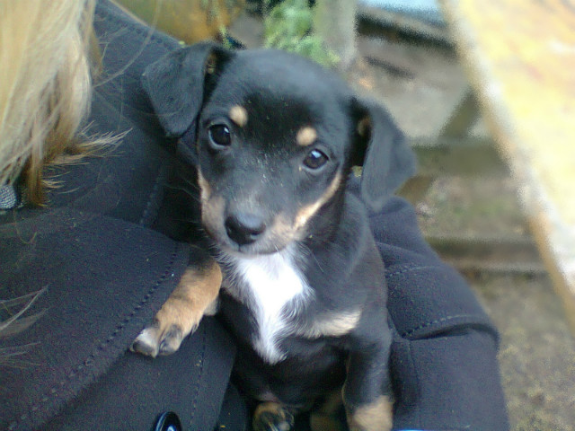 1. Krecik ^^