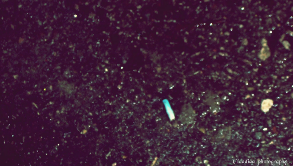 294 .