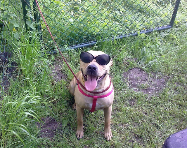 Laris ; )