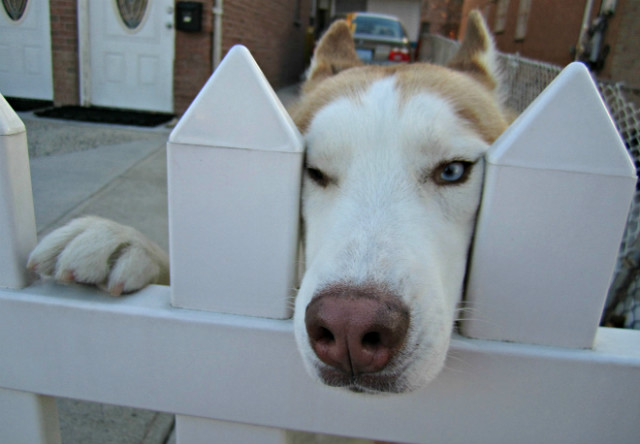 snoop dogg:)