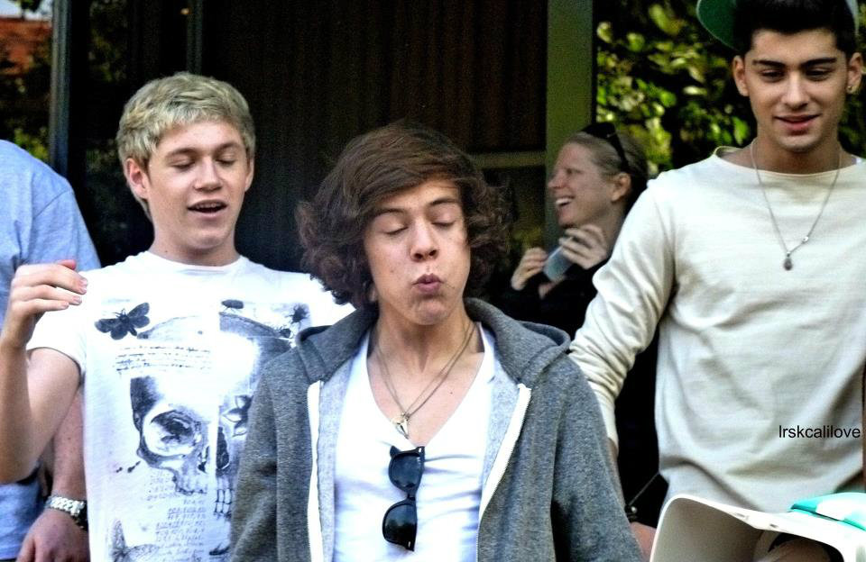 Harold , Nialler i Zay