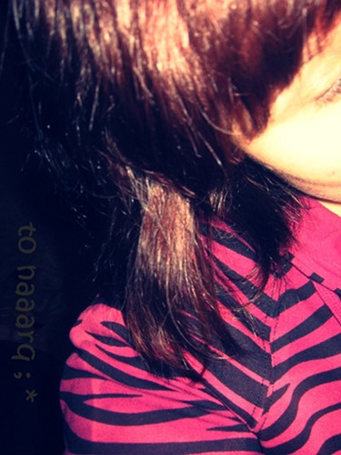 THE END. 