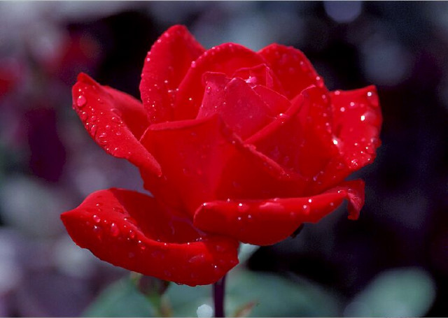 For you 