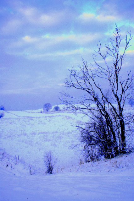 Winter !