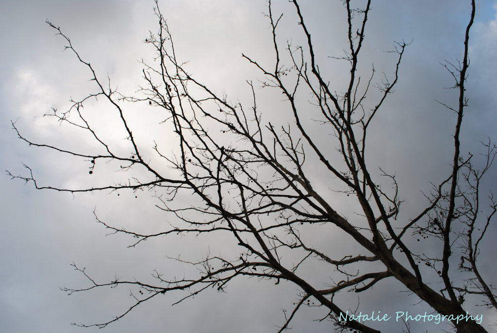Melancholia.