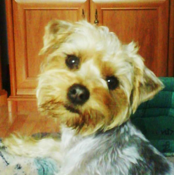 Bajka ;]