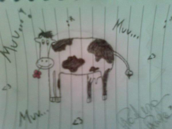 Krwkaa XD
