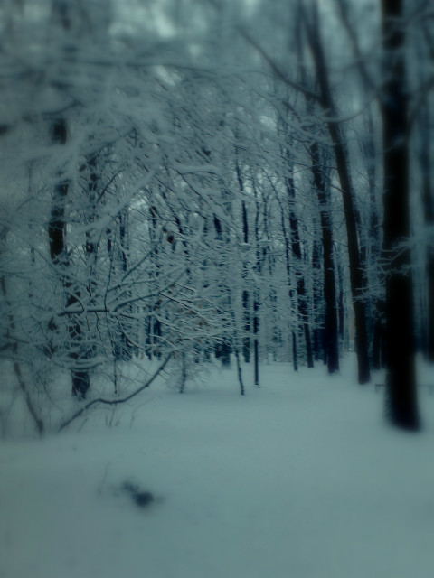 cold and hollow