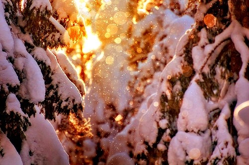Zimno ! ;D