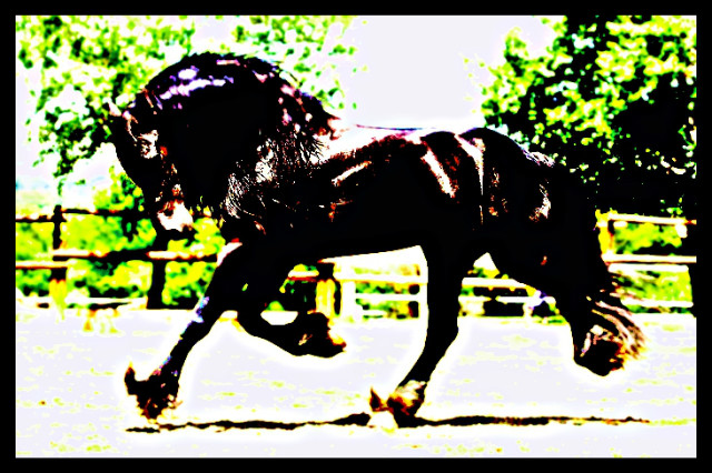 2.