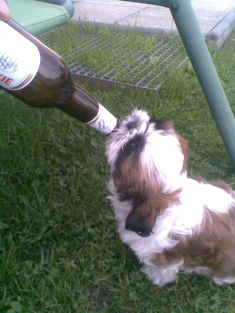 inka.
