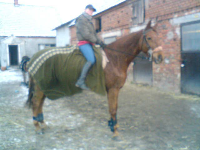 Dumka ;)