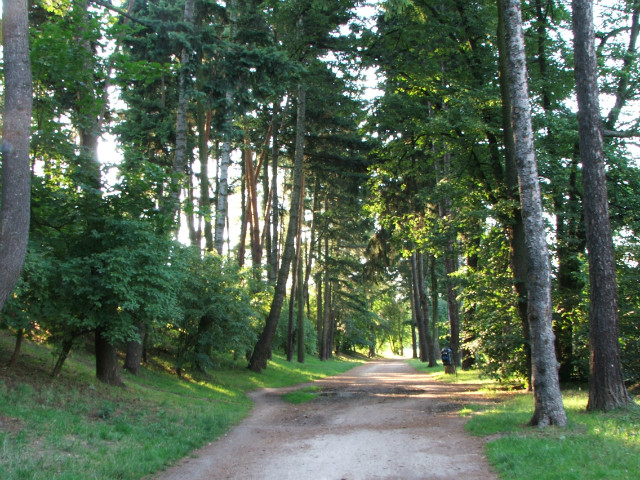 Pijani Powietrzem