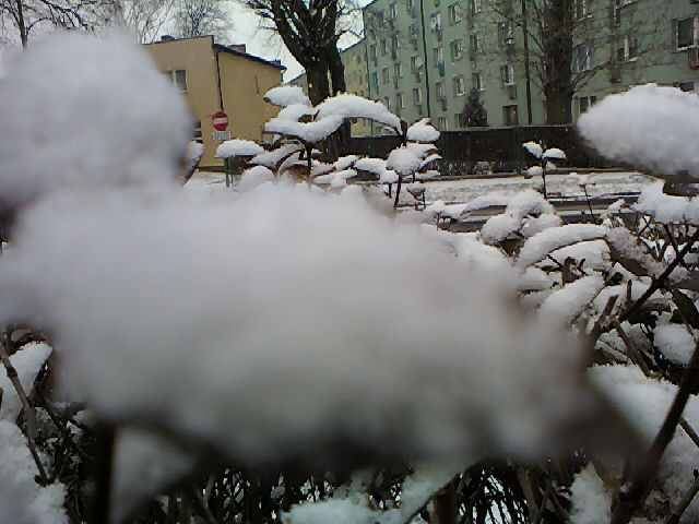 Zimowo ..^^