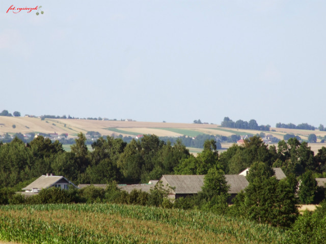 Widok