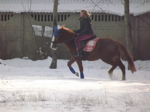 Galopp z ni kocham 