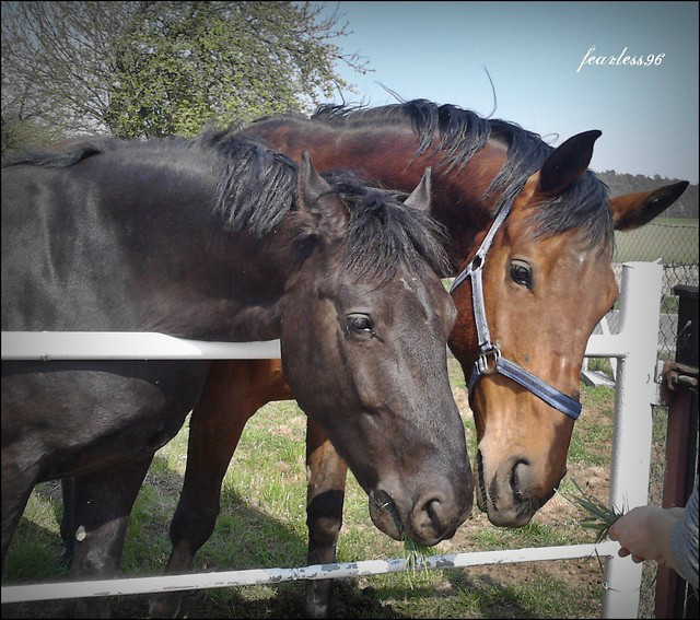 jako ..... < 3