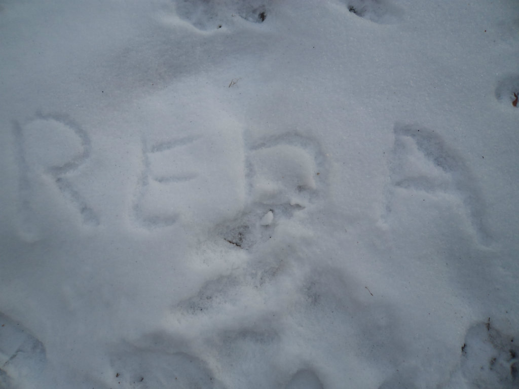 Reda ;***
