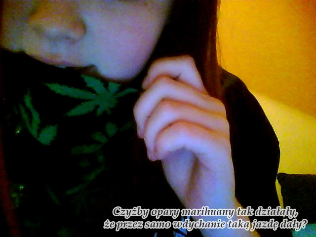 my palimy sobie tylko gras .
