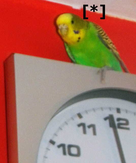 [*][*][*][*][*][*][*][*][*][*]