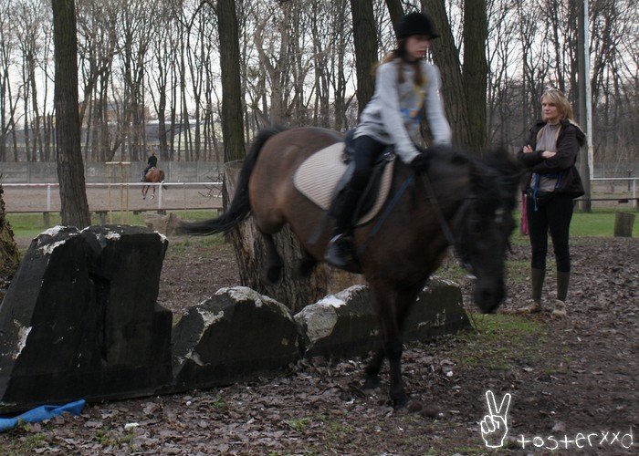 030.WTF za skok xd