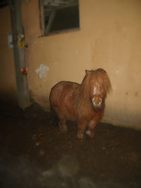 Roxiak :)