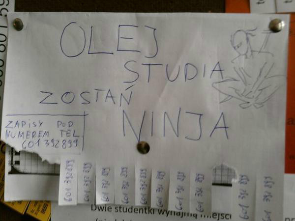 Olej studia, zosta ninja...