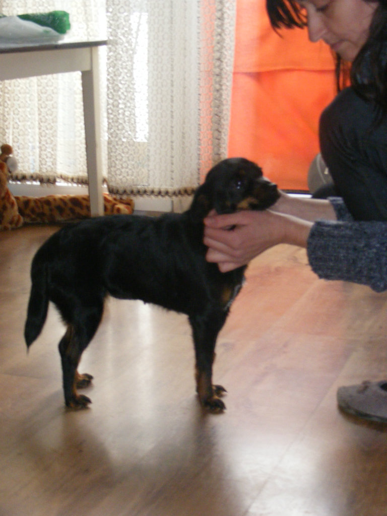 Milka