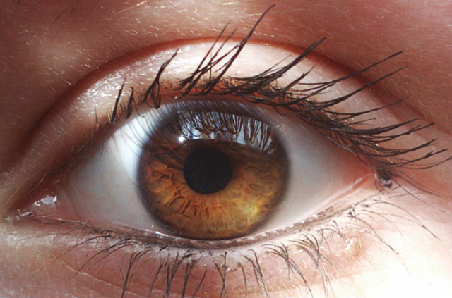 the eye.